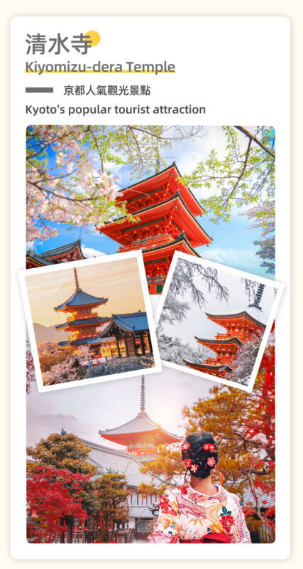 Kyoto & Nara Twin Ancient Capital World Heritage Tour: Kiyomizu-dera Temple & Fushimi Inari Taisha Shrine & Nara Park Day Trip (Osaka/Kyoto Departure) - The value of the fare, and what it leaves out
