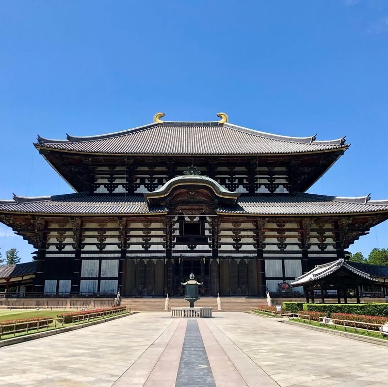 Kyoto & Nara & Uji Day Tour: Nara Park Cute Deer & Fushimi Inari Taisha Thousand Torii Gates & World Cultural Heritage Todai-ji & Byodo-in & Uji Matcha Food Street & Uji River & Uji Park & Asagiri Bridge Day Tour - The pace, practical details and who should book