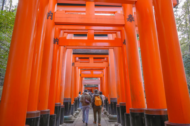 Kyoto: Nijo, Bamboo Grove, Golden Pavilion & Fushimi Inari Bus Tour - Nijo Castle and the shogun’s old headquarters