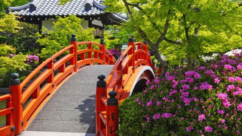 Kyoto: Nijo Castle History Walking Tour  World Heritage - Why This Tour Is a Solid Choice