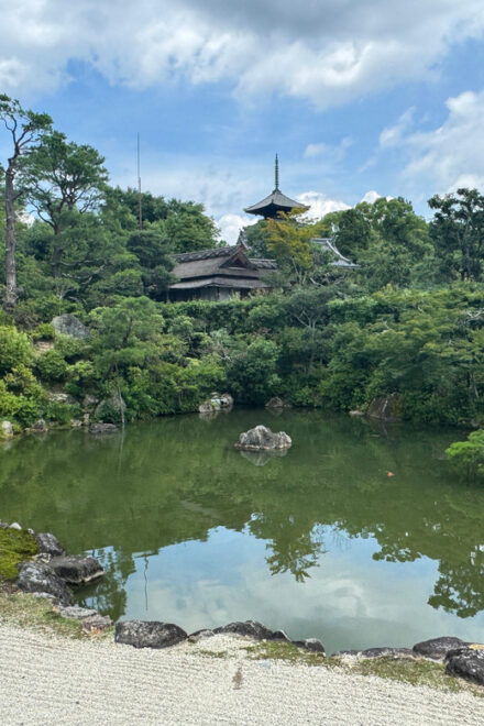 Kyoto: Ninna-ji, Stunning Pagoda and Gardens Tour in 75 Min - Meeting Point