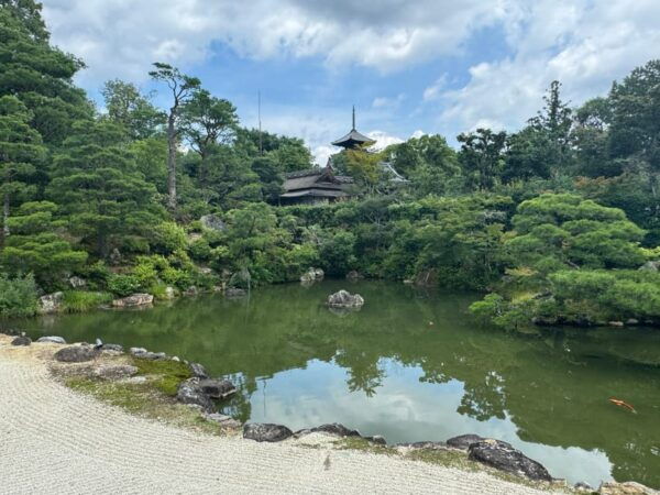 Kyoto: Ninna-ji, Stunning Pagoda and Gardens Tour in 75 Min - Tips for Visitors