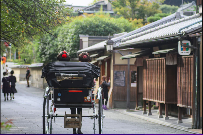 Kyoto One Day Highlight Bus Tour - The quick take