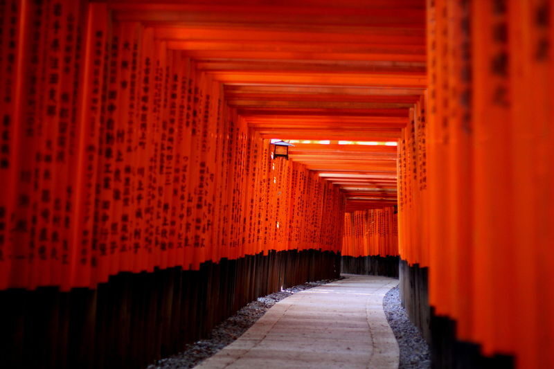 Kyoto One Day Highlight Bus Tour - Kyoto’s highlights, linked by bus