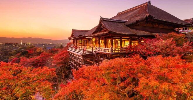 Kyoto One Day Tour: Kinkaku-Ji, Kiyomizu-Dera&Fushimi Inari - Optional Activities to Enjoy
