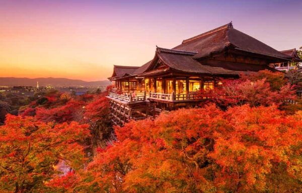 Kyoto One Day Tour: Kinkaku-Ji, Kiyomizu-Dera&Fushimi Inari - Transportation and Meeting Points