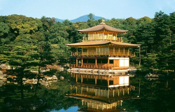Kyoto One Day Tour: Kinkaku-Ji, Kiyomizu-Dera&Fushimi Inari - Important Tour Information