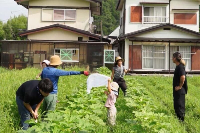 Kyoto: Organic Farm Experience with Vegetable Souvenir - Transport, Timing, and Group Size