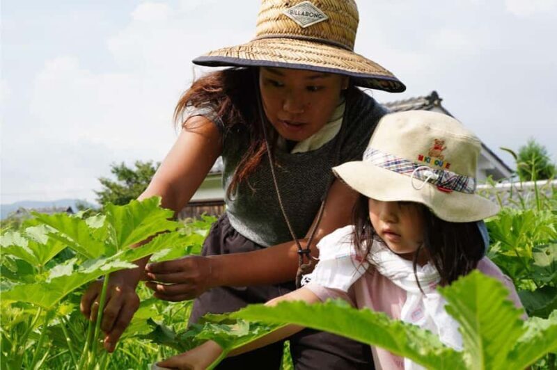 Kyoto: Organic Farm Experience with Vegetable Souvenir - Price & Value