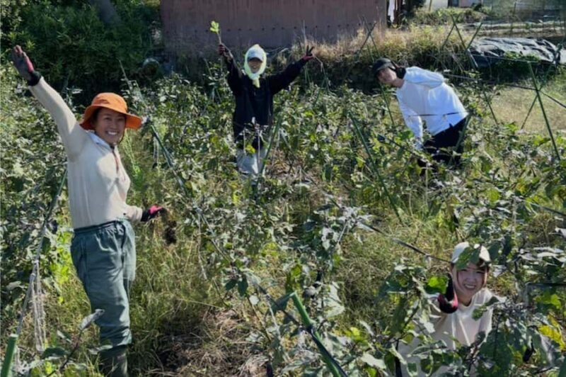 Kyoto: Organic Farm Experience with Vegetable Souvenir - Authenticity and Cultural Connection