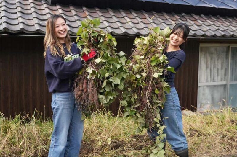 Kyoto: Organic Farm Experience with Vegetable Souvenir - Exploring the Kyoto Organic Farm Experience