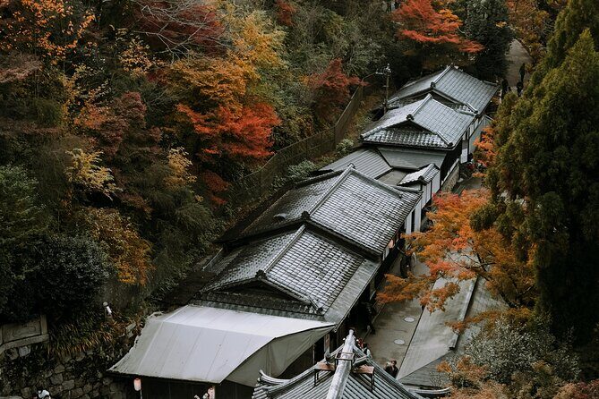Kyoto & Osaka 10hr Luxury Private Car Tour with English Driver - Who Should Book This Tour?