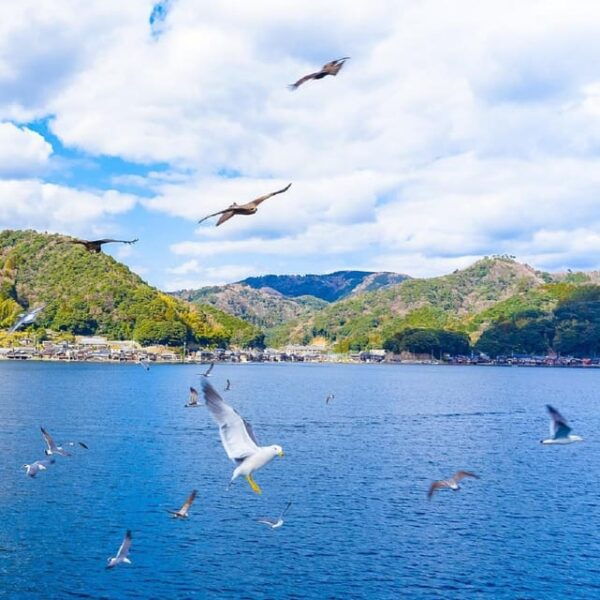 Kyoto/Osaka: Amanohashidate and Ine Boathouse Full-Day Tour - Frequently Asked Questions