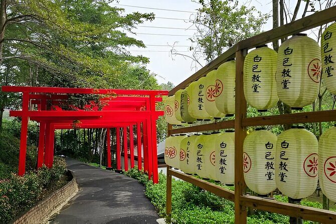 Kyoto, Osaka and Nara Customized Private Car tour - Who Should Consider This Tour?