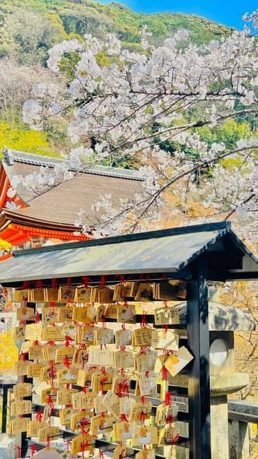 Kyoto-Osaka Customized Kyoto tour with pickup and guide - The Sum Up