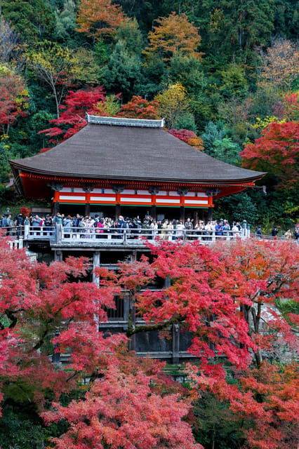 Kyoto/Osaka: Kiyomizu-dera Temple,Nara Park Day Trip - Transportation Details