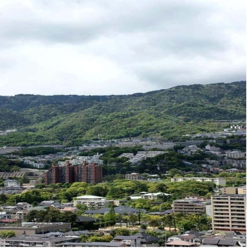 Kyoto/Osaka: Kobe and Himeji Private Day Trip with Pickup - Mount Rokko and the Breathtaking Views