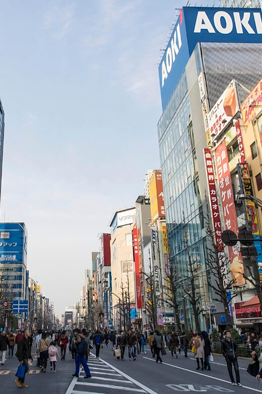 Kyoto/Osaka: Kobe & Himeji Journey Through Culture & History - What’s Included and What’s Not