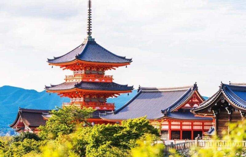 Kyoto/Osaka: Kyoto and Nara World Heritage Day Tour - Authentic Traveler Insights from Reviews