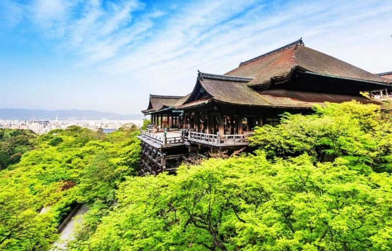Kyoto/Osaka: Kyoto and Nara World Heritage Day Tour - To sum it up