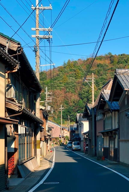 Kyoto/Osaka: Kyoto White Sandbar,Ines Boat Houses Day Trip - Transportation Details