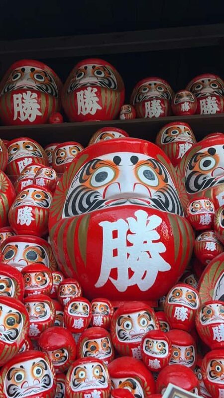 Kyoto/Osaka: Kyoto&Nara Private Customized Guided Tour - Good To Know