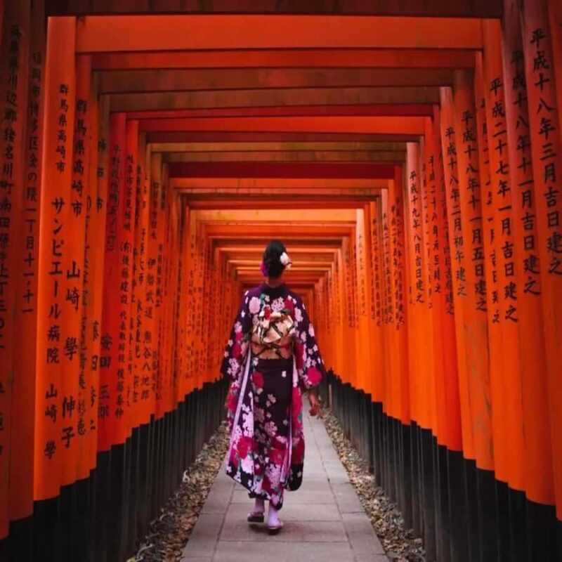 Kyoto/Osaka: Kyoto&Nara Private Guided English Speaking Tour - Good To Know