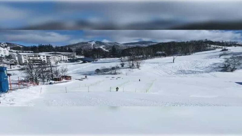 Kyoto/Osaka: Nagano Private Tour with English guide - Final Thoughts: Is This Tour for You?