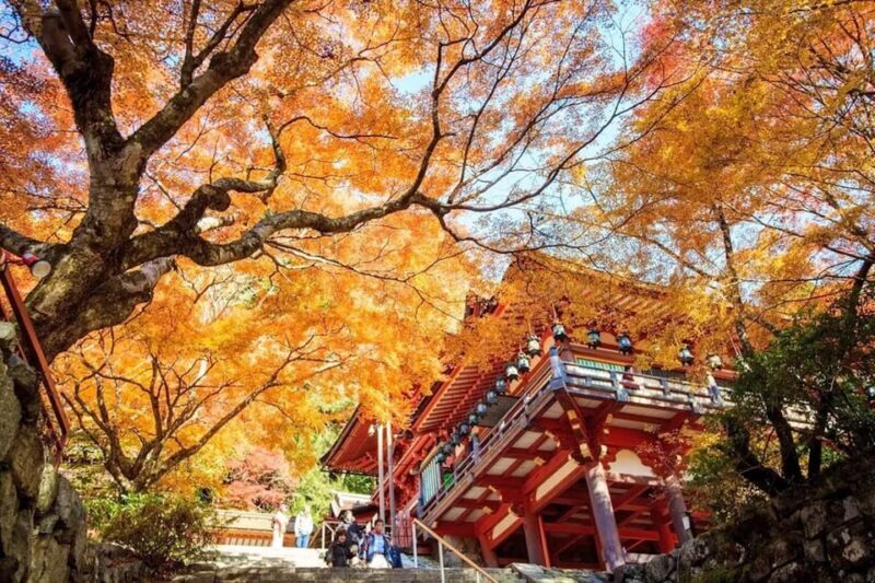 Kyoto/Osaka: Nara Customizable Self-Guided Tour with Driver - Final Thoughts: Who Would Love This Tour?