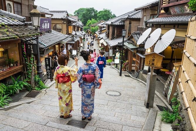 Kyoto, Osaka, Nara Full Day Tour by Car English Speaking Driver - Inclusions in the Tour Package