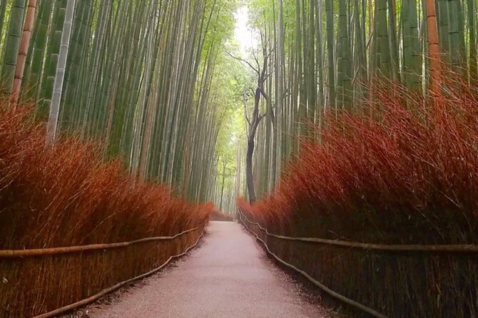 Kyoto, Osaka, Nara Full Day Tour by Car English Speaking Driver - Cancellation Policy and Refund Options