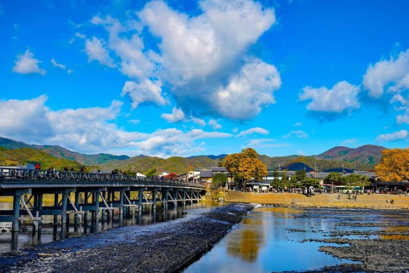 Kyoto/Osaka: Nara, Fushimi Inari Taisha, Arashiyama Bus Tour - Who Should Consider This Tour?