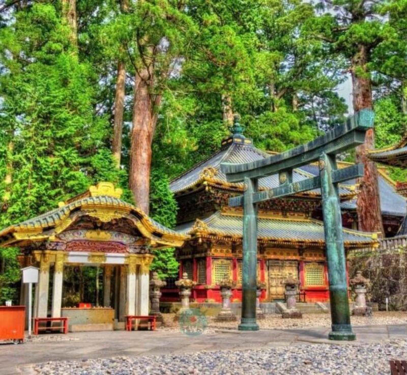 Kyoto/Osaka: Nikko Private Tour with Guide and Driver - Who Should Consider This Tour?