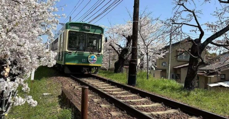 Kyoto/Osaka: Sanzen-in and Arashiyama Day Trip - Good To Know