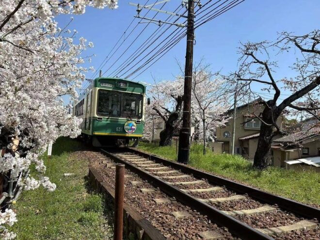 Kyoto/Osaka: Sanzen-in and Arashiyama Day Trip - Sanzen-in Temple Visit