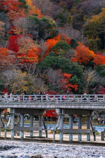 Kyoto/Osaka: Sanzen-in and Arashiyama Day Trip - Tips for a Great Experience