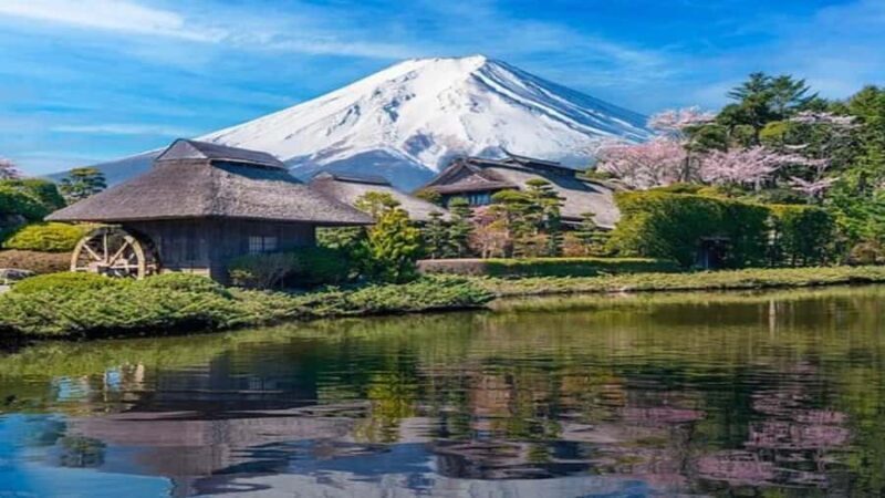 Kyoto/Osaka:Tokyo Full-Day Private Tour with English Guide - Frequently Asked Questions