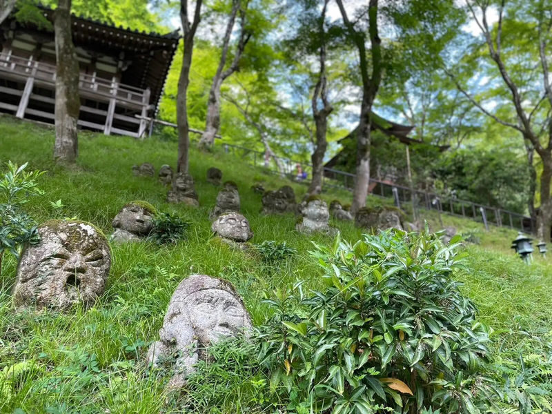 Kyoto Otagi Nenbutsu-ji & Bamboo Forest Half-Day Private Guided Tour - What to know before you book