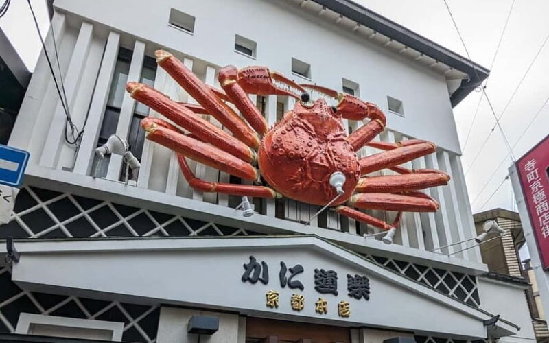 Kyoto: Personalize, private tour (3h, 5h, 8h) [W/Car Option] - The Sum Up: Is This Tour Right for You?