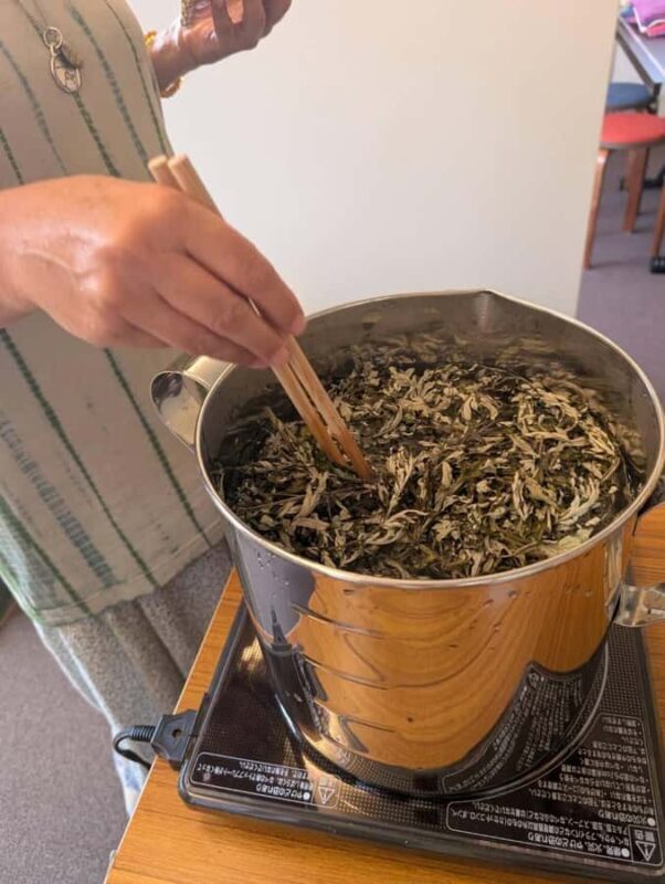 Kyoto: Plant Dyeing Workshop with Lunch - A Closer Look at the Experience