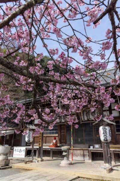 Kyoto Pontocho All Including Evening Local Food Tour - Enjoying Sumi Yakiniku Skewers