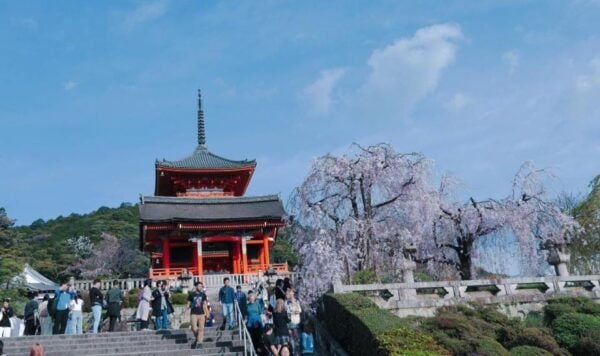 Kyoto Pontocho All Including Evening Local Food Tour - Exploring the Highlights of the Tour