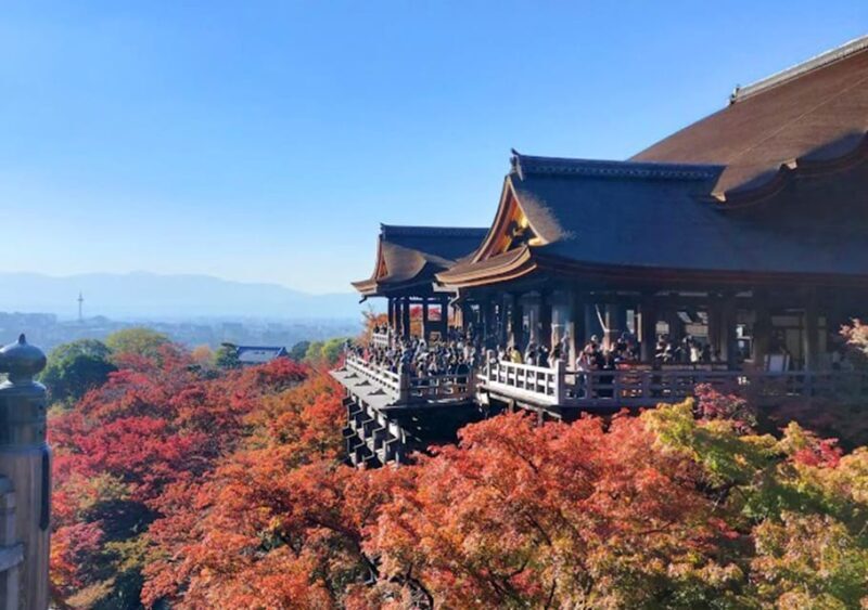 Kyoto: private and customized tour (walking/public transportation) - Discovering the Charm of Kyoto Through a Tailor-Made Experience