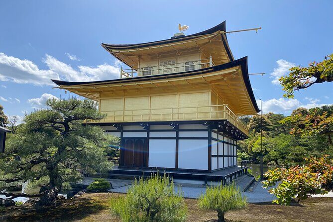 Kyoto Private Car Tour from Osaka to Gion and Fushimi - Good To Know