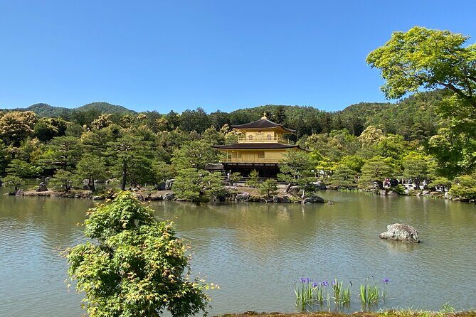 Kyoto Private Car Tour from Osaka to Gion and Fushimi - Who Will Love This Tour?