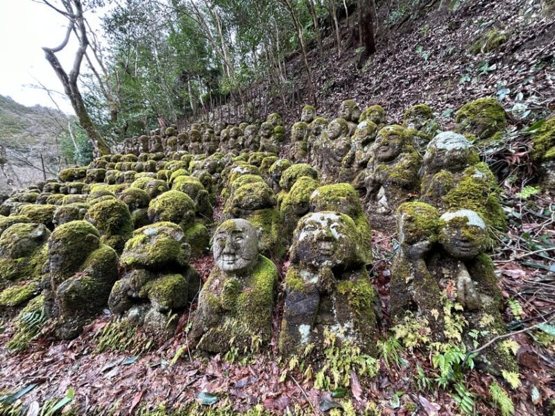 Kyoto: Private Car Tour With a Local Resident Conductor - Heian Shrine (1 hour)