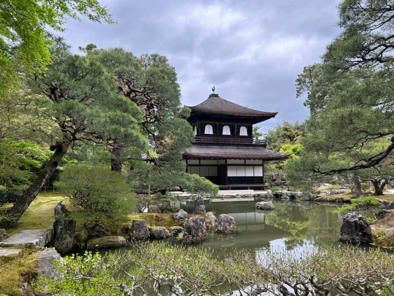 Kyoto: Private Car Tour With a Local Resident Conductor - Nara (4 hours)