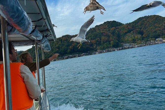 Kyoto Private Car Tour with English Guide Driver (Amanohashidate) - Who Should Consider This Tour?