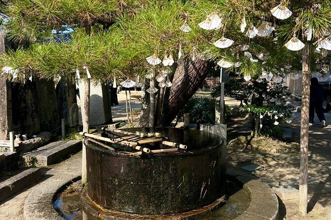 Kyoto Private Car Tour with English Guide Driver (Amanohashidate) - Final Thoughts