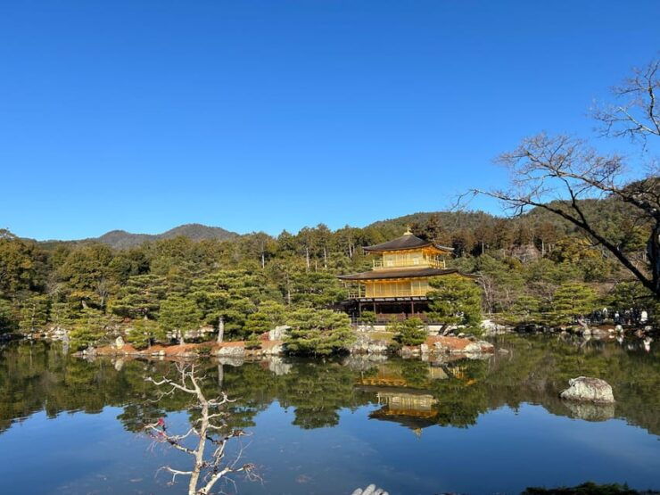 Kyoto Private Car Tour With Japanese&Local Guide - Itinerary Highlights
